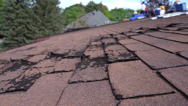 Best Asphalt Shingles Roofing  in Buckeye, AZ