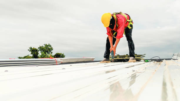 Best Chimney Flashing Repair  in Buckeye, AZ