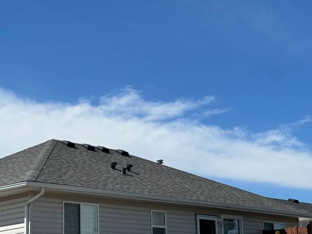 Best Roof Ventilation Installation  in Buckeye, AZ